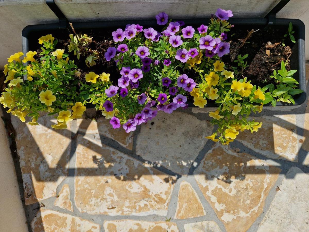 Bel Posto Apartment Dubrovnik Eksteriør billede